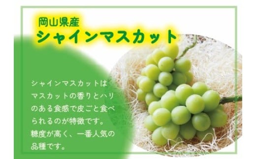 【2026年先行予約】 ここちとふぁーむ 【ご自宅用】 シャインマスカット＆旬のおまかせぶどう 2～3房 約1kg 岡山県産ぶどう 【koko016-01】