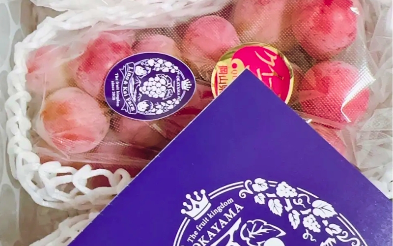 2026年先行予約【ご家庭用】 希少品種 クイーンニーナ 3～４房 2kg以上（化粧箱入り） Lino＆Kai Farm ぶどう 岡山 真庭市 【linokai011-02】