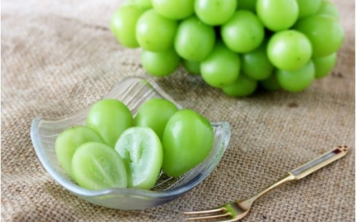 しげちゃん農園の シャインマスカット「晴王」 1.4kg前後（2～3房入） 【2026年10月上旬～順次発送】 岡山県真庭市産 ぶどう シャインマスカット 高級 フルーツ 【shifarm001-02】