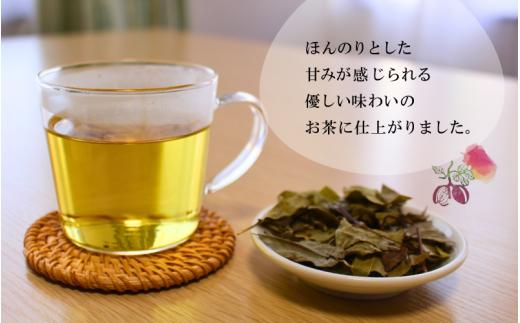 新芽のあけび茶 12g×2 / アケビ 岡山県 真庭市 しげや 【shigeya008-01】