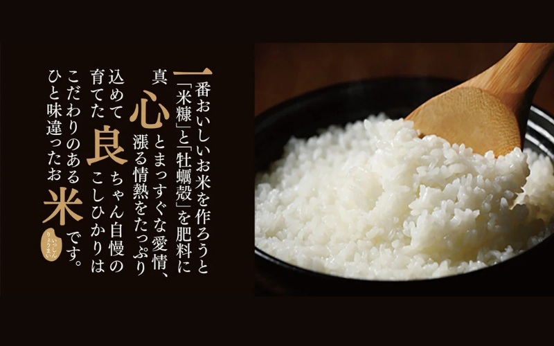 【令和7年産先行予約】 真庭市産コシヒカリ 米ぬか 牡蠣栽培米 『 一心良米 』 白米 ２０kg(5kg×4袋） / お米 いっしんりょうまい 岡山県 真庭市 白米 米 コシヒカリ こしひかり 人気 ブランド米 新米 令和7年産 2025年産【takenaka029-02】