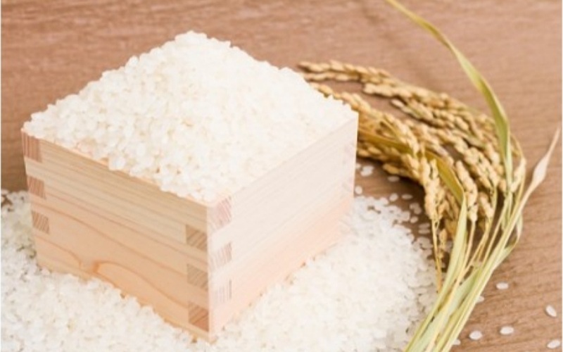 ＜定期便 全3回＞ 令和7年新米 真庭市産 太安さんちのあきたこまち 無洗米 5kg×3回 / お米 国産 岡山県 人気 ブランド2025年産 【tkns-tkb045】 ５kg×３回