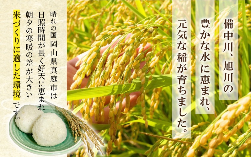 ＜定期便全3回＞ 令和７年新米 真庭市産 ひとめぼれ 無洗米 5kg×3回 / お米 岡山県 真庭市 無洗米 米 ひとめぼれ 人気 ブランド米 2025年産 【tkns-tkb007】 ５kg×３回