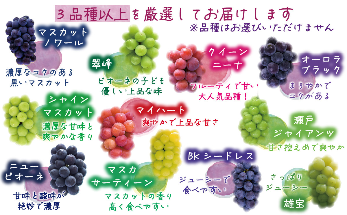 【2026年の先行予約です！】 訳あり ぶどう 花笑み農園のぶどう おまかせ3種以上（約１kg） hana18-1. / ぶどう 詰め合わせ 食べ比べ ブドウ シャインマスカット ピオーネ クイーンニーナ オーロラブラック 瀬戸ジャイアンツ 翠峰 BKシードレス マスカサーティーン マスカットノワール 雄宝 マイハート 先行予約 フルーツ 果物 岡山 真庭市【hana018-02】