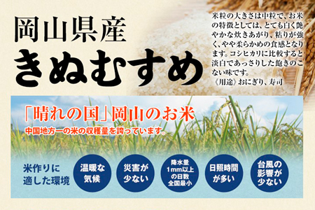 【令和7年産先行予約】令和７年新米 真庭市産 きぬむすめ 白米 10kg / お米 国産 岡山県 真庭市 白米 米 きぬむすめ キヌムスメ 人気 ブランド米 新米 先行予約 令和7年産 2025年産【takenaka027-01】 10kg(5kg×2袋)