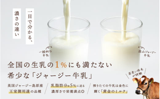 【定期便6カ月】全6回  蒜山ジャージーヨーグルト10個入×6回 定番人気NO.1 冷蔵 「ご当地ヨーグルトグランプリ」金賞 デザート プレゼント 蒜山酪農 真庭 岡山 ジャージー 牛 牛乳 ミルク 濃厚 乳製品 おやつ 子供から大人まで 人気 ランキング 女性 ヨーグルト【hiru-tkb003】