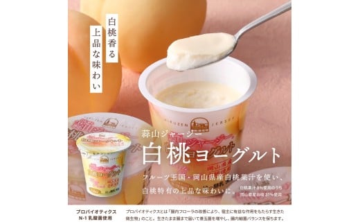 【12カ月定期便】 蒜山ジャージーデザートヨーグルト12個セット（4種類×３個） 詰め合わせ 乳製品 贅沢ヨーグルト スイーツ 白桃 マンゴー ブルーベリー 食べ比べ プレゼント 蒜山酪農 真庭 岡山 ジャージー 牛乳 【hiru016-01tk】