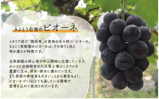 【2026年先行予約】シャインマスカット＆ニューピオーネ 3-5房/計2.0kg~ (岡山県産) 【KF-B070-03】