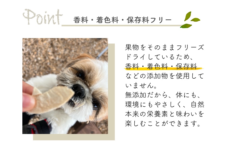 【きよとうファーム】あたご梨のフリーズドライおやつ 計2袋（約44g） （岡山県真庭市産）  ペット 果物【KF-F001-01】