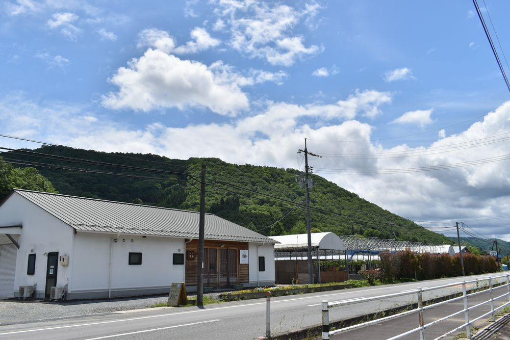  【きよとうファーム】果樹園の品種を楽しむ果実ジャム 2種 (岡山県産) 【KF-K002-02】