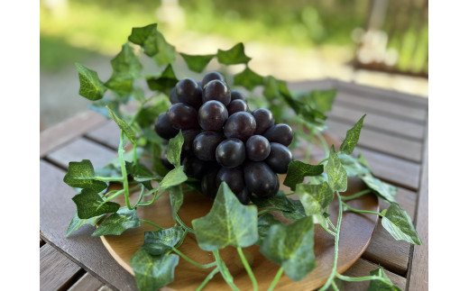 【きよとうファーム】薫り高い黒ぶどう「黒いアルファ」のワインと幻の桃「蟠桃」のリキュールのお酒2本セット (岡山県産)【KF-S009-01】