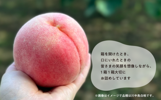 【2026年先行予約】【きよとうファーム】旬の桃の食べ比べを楽しむ、桃の２回便！(定期便) (岡山県産)【KF-T025-01】