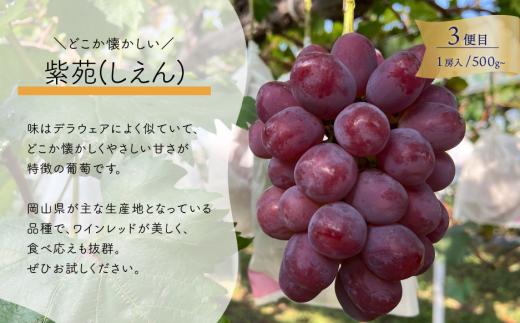 【2026年先行予約】気になる葡萄を試したい！ピオーネ・シャインマスカット・紫苑の3回便(定期便)(岡山県産)【KF-T057-01】