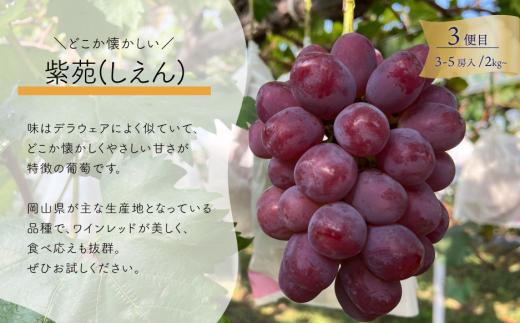 【2026年先行予約】質も量も大満足！3種の葡萄を季節ごとにお届けする3回便(定期便)(岡山県産)【KF-T059-01】