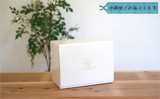 【2026年先行予約】 岡山 花笑み農園の『ニューピオーネ&オーロラブラック』1kg(2房) 2026年9月上旬～ 受付順に発送予【hana032-02】