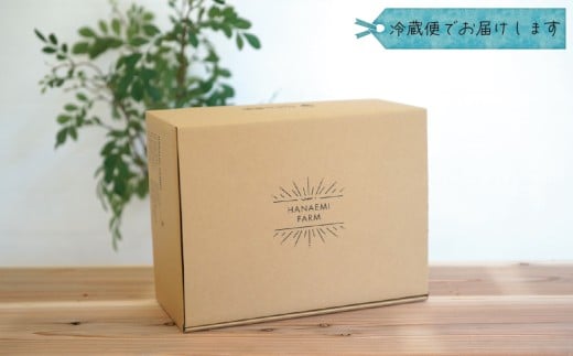 【2026年の先行予約】花笑み農園のぶどう『食べ比べ４種セット』 シャイン入り2kg 家庭用 岡山 詰め合わせ 真庭市 【hana087-01】