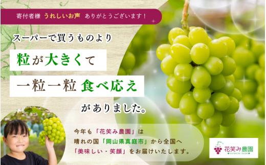 【2026年先行予約】ぶどう 岡山 花笑み農園 『シャインマスカット』約2kg（3～4房） 贈答用 岡山 真庭 シャインマスカット 高級 2kg 贈答 2026 真庭市 大粒 葡萄 果物 フルーツ シャインマスカット 人気 数量限定 9月下旬～ 受付順に発送予定 【hana016-02】