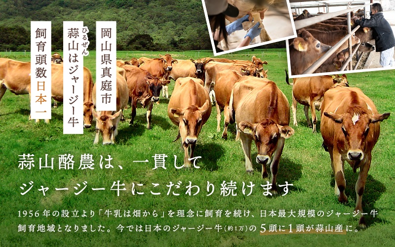 ヨーグルトランキング入★ ひるぜんジャージーヨーグルト 20個 ご当地グランプリ金賞 冷蔵便 / 蒜山 スイーツ デザート プレゼント 贈答 蒜山酪農 岡山県真庭市 ジャージー牛乳 ミルク 濃厚 ギフト おやつ 人気 【hiru001-01】