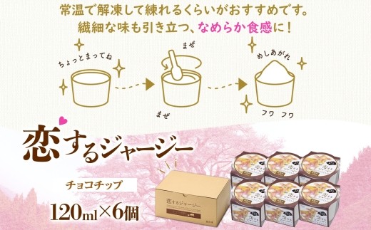 【ジェラート醍醐桜】恋するジャージーチョコチップ 6個セット / 岡山 真庭 醍醐桜 極上スイーツ 濃厚 プレゼント 贈答 デザート ギフト ジャージー牛 ミルク ジェラート おやつ チョコレート 子供から大人まで 冷凍 人気 贅沢 家庭用にも 【nhss017-01】
