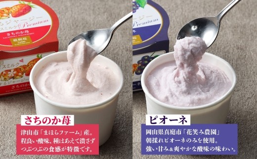 【ジェラート醍醐桜】【熨斗】恋するジャージーPremium3種 （ゴールデンミルク＆さちのか苺＆ピオーネ）計12個セット / 岡山 真庭 醍醐桜 極上スイーツ 濃厚 プレゼント 贈答 デザート ギフト ジャージー牛 ミルク ジェラート おやつ いちご ぶどう 子供から大人まで 冷凍 人気 贅沢 【nhss043n-01】