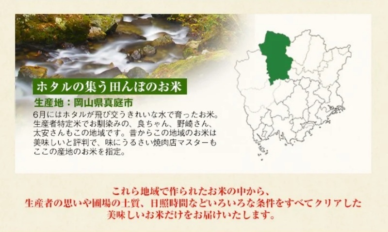 ＜定期便 全6回＞令和7年産 真庭市産きぬむすめ 白米 5kg×6回 / お米 国産 岡山県 米 人気 ブランド 2025年産 【tkns-tkb014】 ５kg×６回