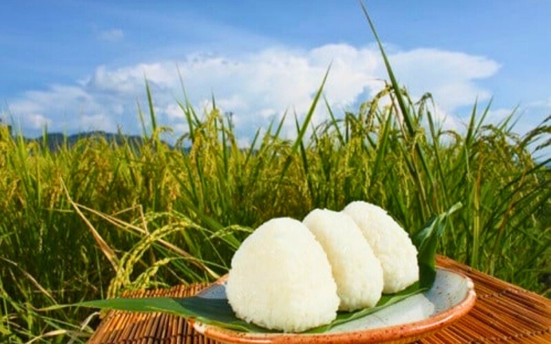 令和7年産 真庭市産 ひとめぼれ 白米 10kg(5kg×2袋） / お米 岡山県 真庭市 白米 米 ひとめぼれ 2025年産 【tkns002-01】 10kg(5kg×2袋)