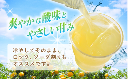 【岡山の酒】 御前酒 ゆず酒 500ml×2本 / 辻本店 柚子 真庭 日本酒ベース ゆず 柚子 リキュール 真庭市 【thtn020-01】