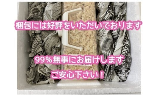 ヘラクレスオオカブト 成虫ペア オス（150mm台）メス（60mm以上） / ヘラクレス カブトムシ 昆虫 真庭市 生体 飼育 生き物 生物 岡山県【hrkrs001-01】