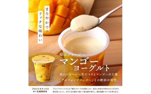 【12カ月定期便】 蒜山ジャージーデザートヨーグルト12個セット（4種類×３個） 詰め合わせ 乳製品 贅沢ヨーグルト スイーツ 白桃 マンゴー ブルーベリー 食べ比べ プレゼント 蒜山酪農 真庭 岡山 ジャージー 牛乳 【hiru016-01tk】