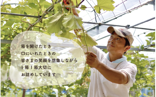 【2026年先行予約】シャインマスカット＆ニューピオーネ 3-5房/計2.0kg~ (岡山県産) 【KF-B070-03】