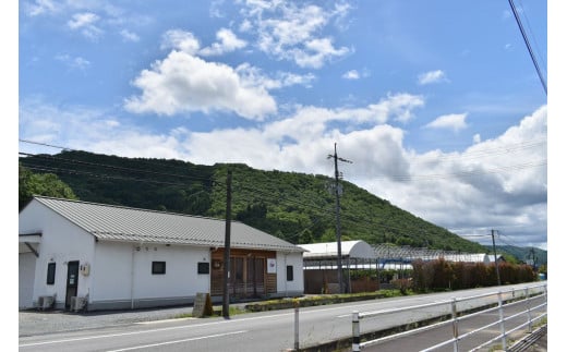  【きよとうファーム】果樹園の品種を楽しむ果実ジャム 2種 (岡山県産) 【KF-K002-02】