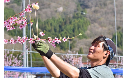 【期間限定】果樹園のジャム5種とパウンドケーキセット (岡山県産)【KF-K006-01】
