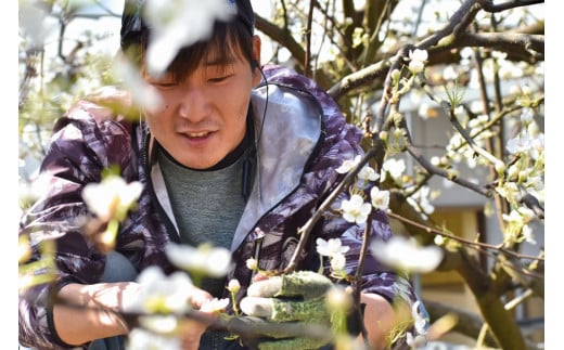 【きよとうファーム】あたご梨と山ぶどうのロゼワイン「季節のほほえみ」 (岡山県産)【KF-S002-02】