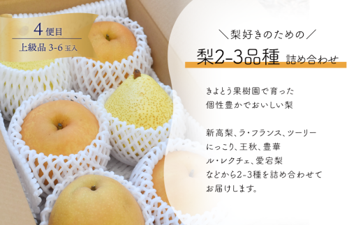 【2026年先行予約】桃・ぶどう・梨が全４回届く岡山フルーツ定期便 (岡山県産)【KF-T006-03】