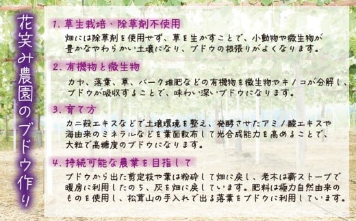 【2026年の先行予約】 花笑み農園 ぶどう 『彩り３種セット』家庭用（1.8kg） 岡山 詰め合わせ 食べ比べ 真庭市 【hana085-01】