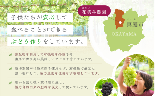 【2026年先行予約】 ぶどう 岡山 花笑み農園『シャインマスカット』 家庭用 約2kg（3～5房） 岡山 真庭 シャインマスカット 家庭用 真庭市 数量限定 9月下旬～ 受付順に発送予定 【hana061-02】