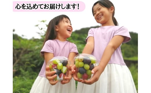 ※2026年の予約です！※【産地直送】フルーツ王国岡山！シャインマスカット入りぶどう粒カップ×２ / 岡山 真庭 シャインマスカット 食べ比べ 葡萄 ブドウ ぶどう 新鮮 果物 フルーツ 人気 数量限定 粒切 食べやすい  ギフト ぶどう専門 林ファミリー  (2026年9月～発送予定) 【hfbd002-02】