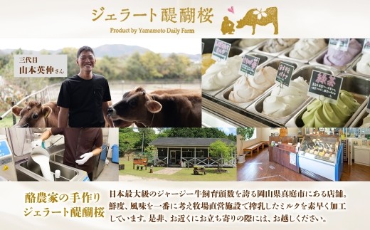 【ジェラート醍醐桜】【熨斗】恋するジャージーPremiumさちのか苺6個セット / 岡山 真庭 醍醐桜 極上スイーツ 濃厚 プレゼント 贈答 デザート ギフト ジャージー牛 ミルク ジェラート おやつ イチゴ 子供から大人まで 冷凍 人気 贅沢  【nhss007n-01】