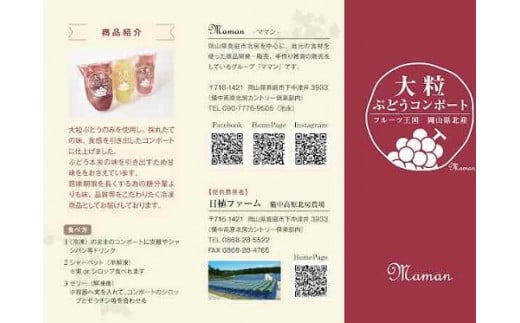 大粒ぶどう３種のコンポート（ピオーネ、翠峰、オーロラブラック） 岡山県 真庭市 ピオーネ オーロラブラック 翠峰 【mman002-01】