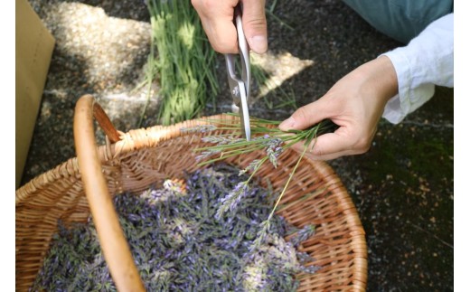 【 マツリカサボン 】 オーガニック石けん （ラベンダー） 75g 1個 ご自宅用 / オーガニック 生せっけん 自然素材 石鹸 岡山 真庭 蒜山 肌にやさしい こだわり 手作り 無添加 洗顔 MATSURIKA SAVON 【savon017-01】