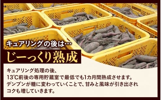 【訳あり】針山さんちのさつまいも 紅はるか 10kg / さつまいも 紅はるか 岡山県 野菜 【ybrf003-01】