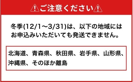 ヘラクレスオオカブト 成虫ペア オス（150mm台）メス（60mm以上） / ヘラクレス カブトムシ 昆虫 真庭市 生体 飼育 生き物 生物 岡山県【hrkrs001-01】