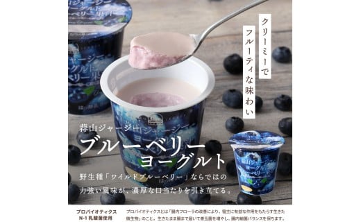 【12カ月定期便】 蒜山ジャージーデザートヨーグルト12個セット（4種類×３個） 詰め合わせ 乳製品 贅沢ヨーグルト スイーツ 白桃 マンゴー ブルーベリー 食べ比べ プレゼント 蒜山酪農 真庭 岡山 ジャージー 牛乳 【hiru016-01tk】