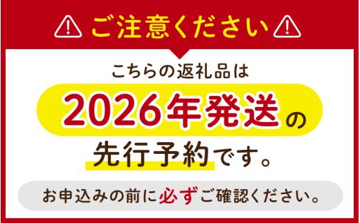 【2026年先行予約】特選 種なしピオーネ 3-5房/計2.0kg~ (岡山県産)【KF-B007-02】