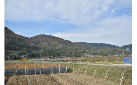 【期間限定】果樹園のジャム5種とパウンドケーキセット (岡山県産)【KF-K006-01】