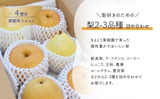 【2026年先行予約】桃・ぶどう・梨が全４回届く岡山フルーツ定期便 (岡山県産)【KF-T006-03】