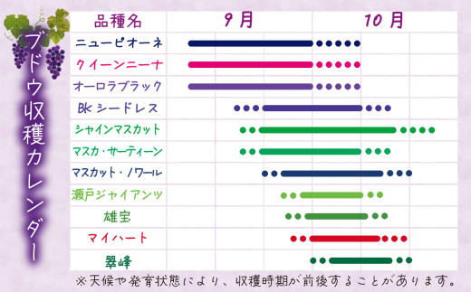 【2026年先行予約】岡山　花笑み農園『ニューピオーネ&クイーンニーナ』1kg(2房) / ぶどう 詰め合わせ 食べ比べ 真庭市【hana031-02】