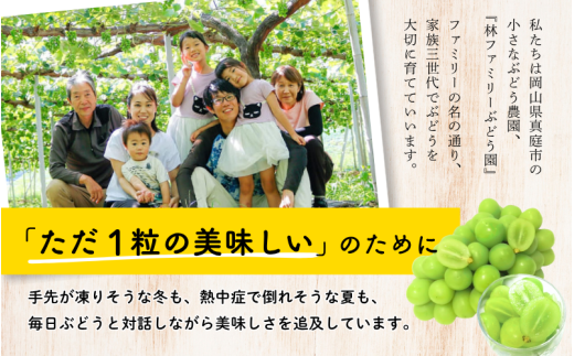 【訳あり】※2026年の予約です！※岡山県産 林ファミリーのシャインマスカット 約1.2kg（約2～3房）【2026年先行予約】 / 葡萄 ぶどう 岡山 真庭市 マスカット ブドウ 果物 フルーツ 新鮮 人気 数量限定 お買い得 家庭用 お試し ぶどう専門【hfbd021-02】