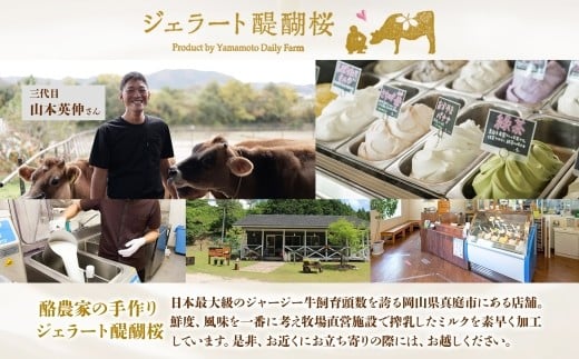 【ジェラート醍醐桜】【熨斗】恋するジャージーPremium2種 （ゴールデンミルク＆焼きかぼちゃ）計8個セット / 岡山 真庭 醍醐桜 極上スイーツ 濃厚 プレゼント 贈答 デザート ギフト ジャージー牛 ミルク ジェラート おやつ かぼちゃ 子供から大人まで 冷凍 人気 贅沢【jfg-daigo026n】