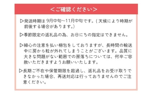 【2026年先行予約】 ここちとふぁーむ 【ご自宅用】 岡山県産 シャインマスカット お試し1房 500g以上 【koko014-01】